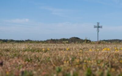 Midsommar är symbolen för livets höjdpunkt